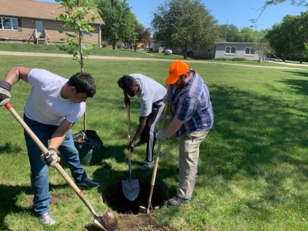 Volunteers planiting trees.