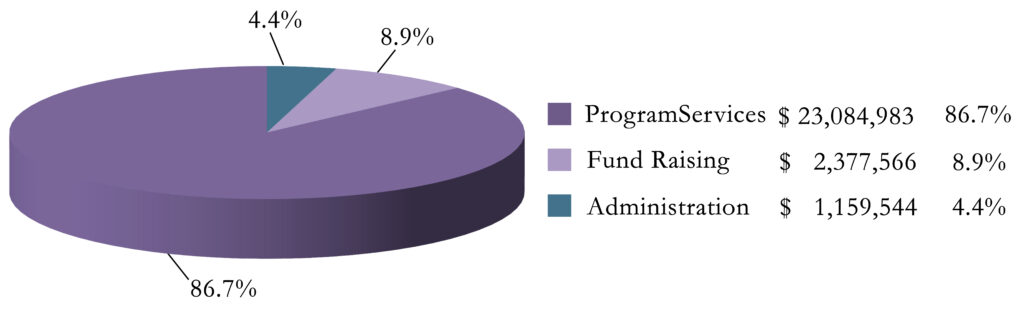 Pie chart of total expenses where 86.7% of revenue goes towards program services.